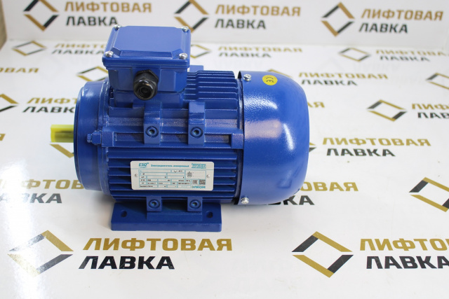 Электродвигатель ESQ 71B8-SDN 0,12кВт 220/380В 650об/мин IM 2181