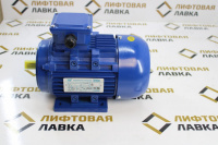 Электродвигатель ESQ 71B8-SDN 0,12кВт 220/380В 650об/мин IM 2181